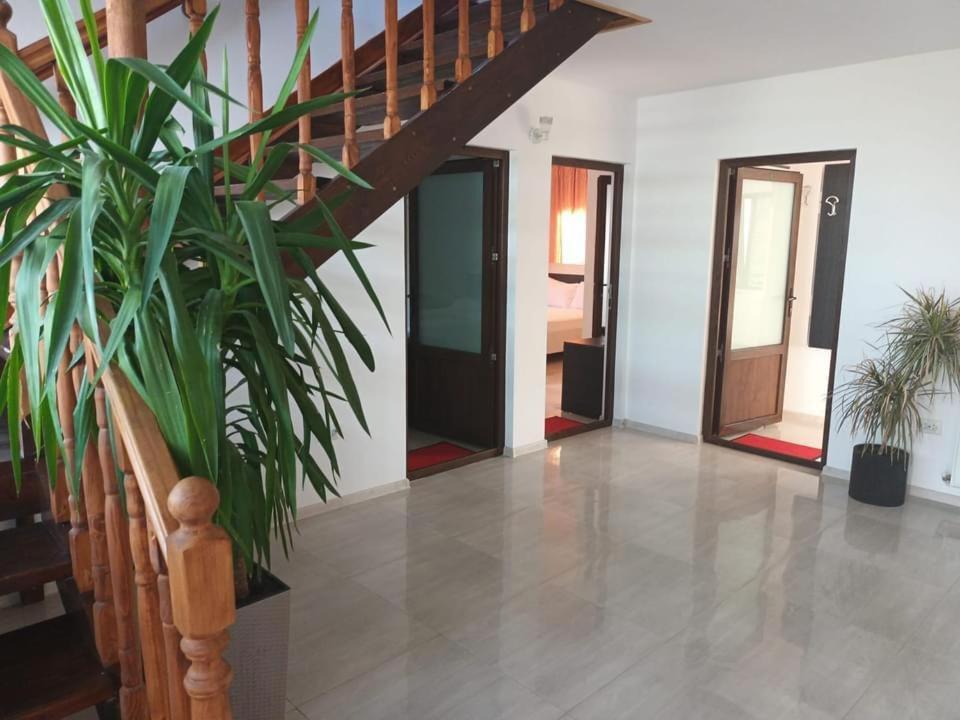 Hotel Vila Maranca Două Mai Exteriér fotografie
